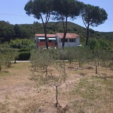 ホテル Rustichello